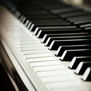 美女扣币币网址
