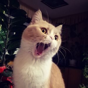 美女扣币币网址
